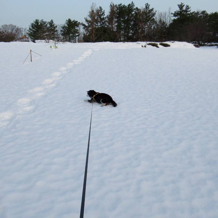 2374aad8 aa35 436c a21a 0718359f5bbd 1610681523893