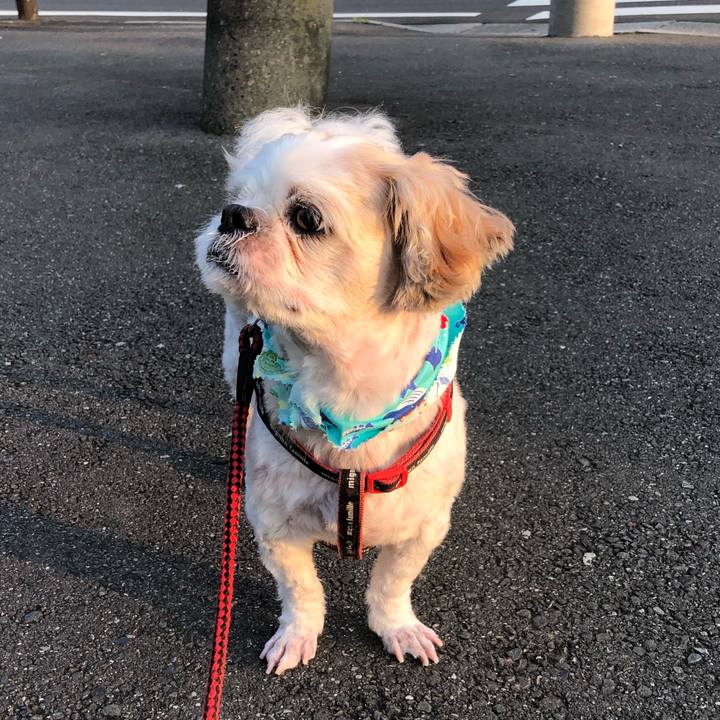 2374b121 9e4a 44c5 a496 ac6b014ec23f 1597700586365