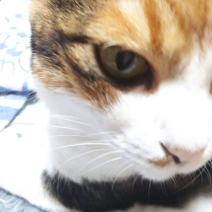 2374bf0a e0cf 4a68 ac99 804914be8ae8 1569275170452