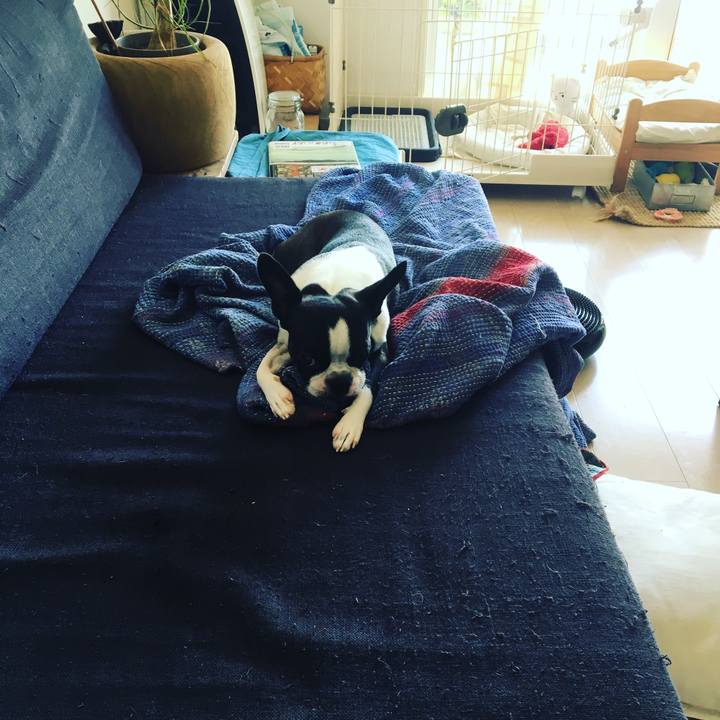 2374d9e2 bb9f 4636 b9ff aab5641d4996 1539747328087