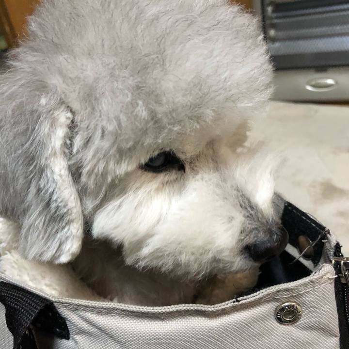 23750d13 e1a0 45eb af07 cc46c780a049 1610065843810