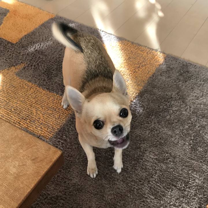 237525ff 21e5 4c24 ae4f da719a8fd9df 1511049145490