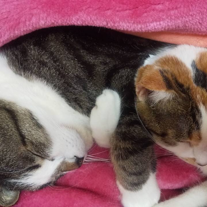 237528c2 1dc5 4aef 90c1 6d1634bec370 1670943886776