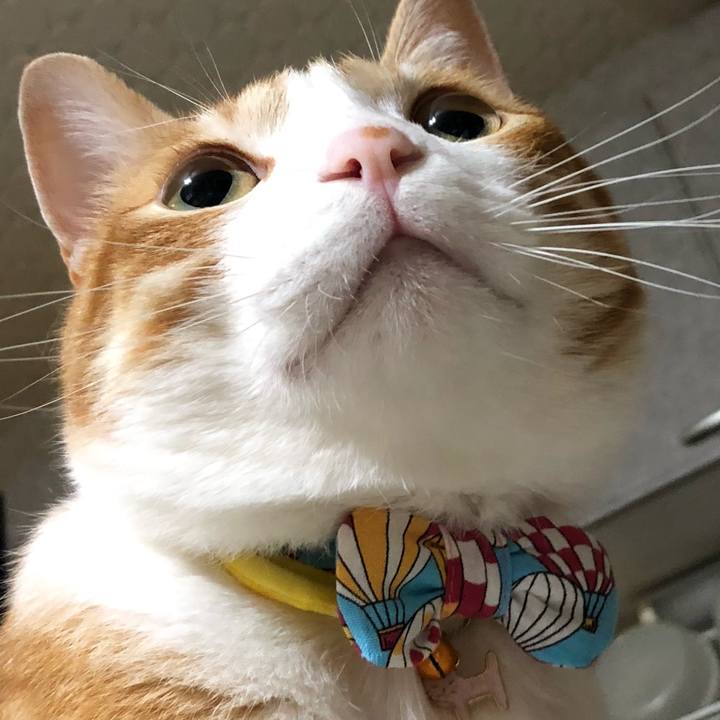 23757e09 2a21 4d42 bda1 4f39d3131953 1560603495058