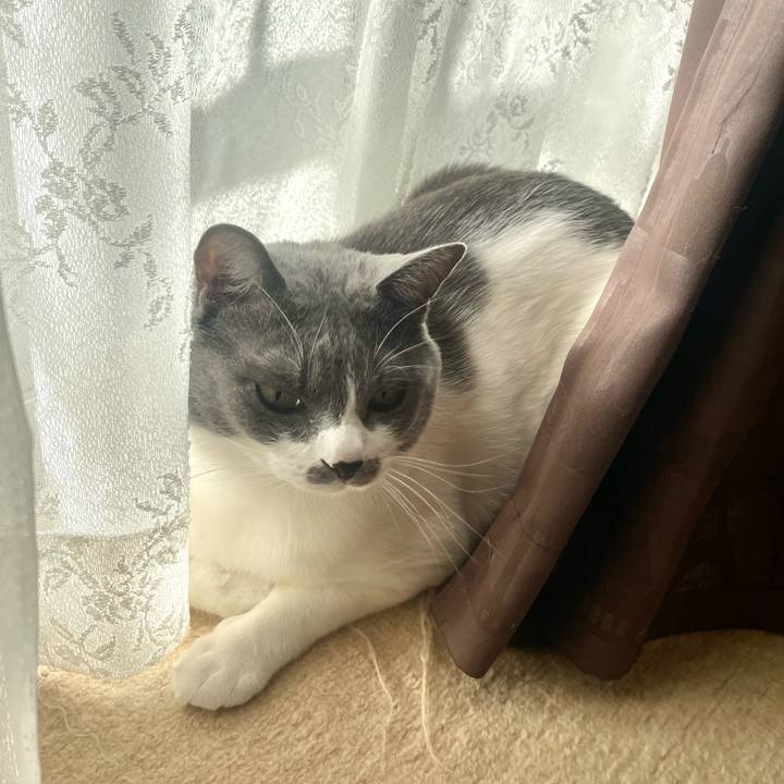 2375d579 e684 4621 b4ae b6112d0c5e15 1669247143545