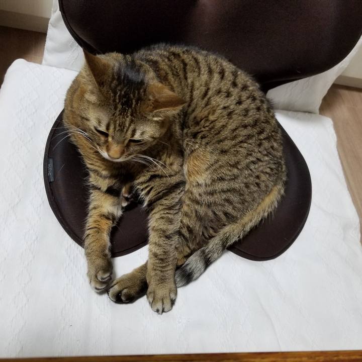 23760d1a 25e8 4d7c 9ea6 6951842509e3 1612875409836