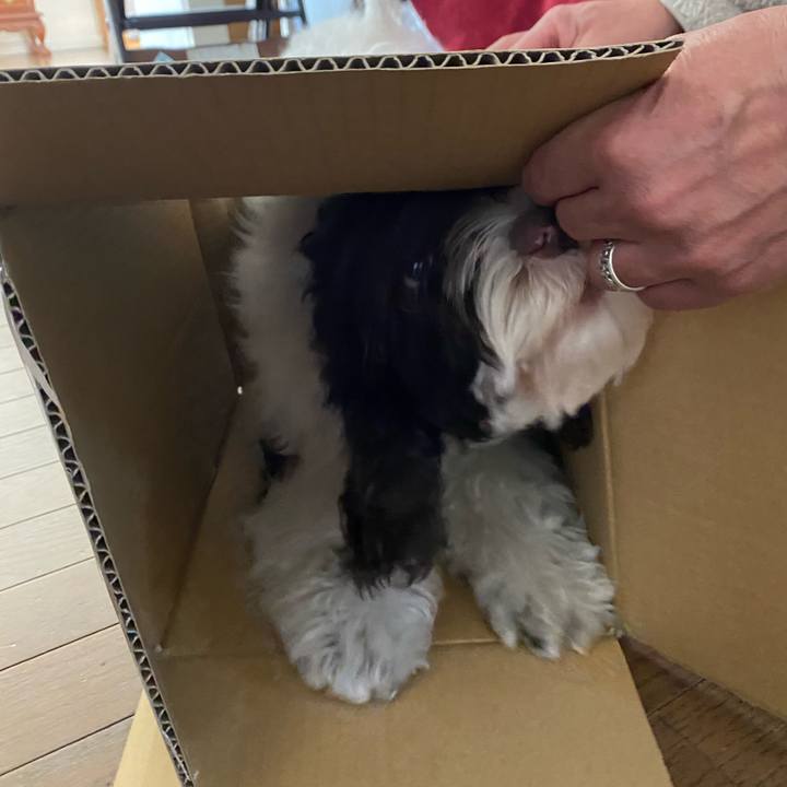 23763fec eb96 4137 822f 6e1f63377052 1613005945321