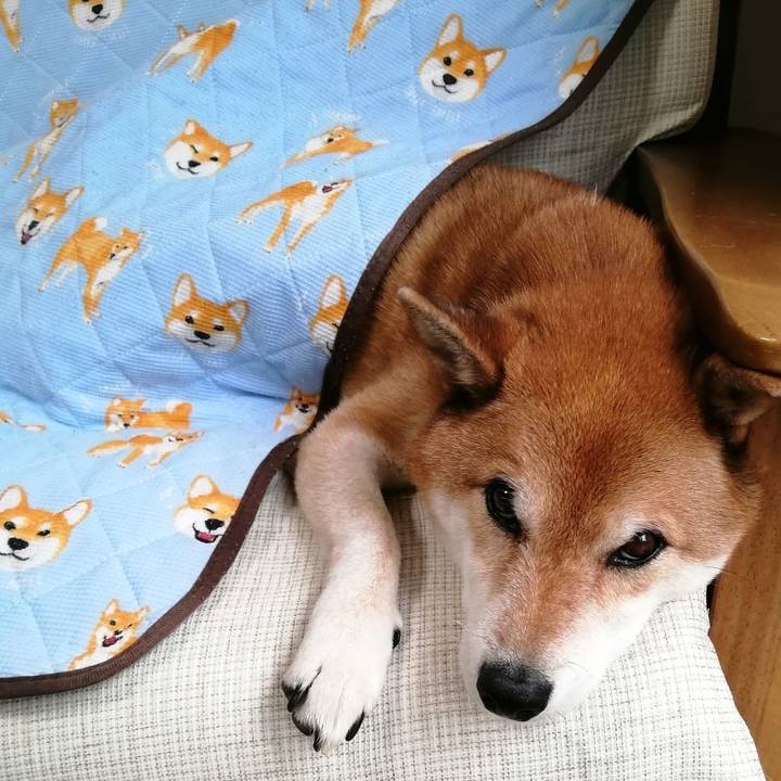 23766522 e166 4345 9b51 1d72792c1e02 1662547276001