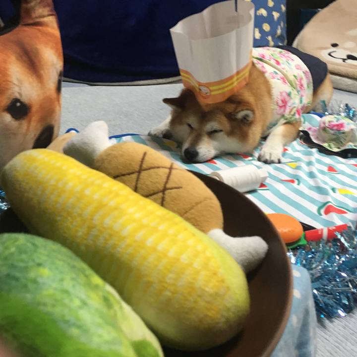 23767096 8f33 4740 a8bc 000215a71636 1628826394806