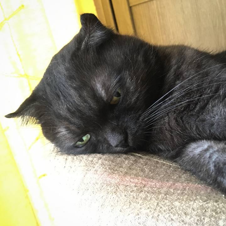 2376880e 8513 4a70 acce 7e096ea1b48f 1533354121404