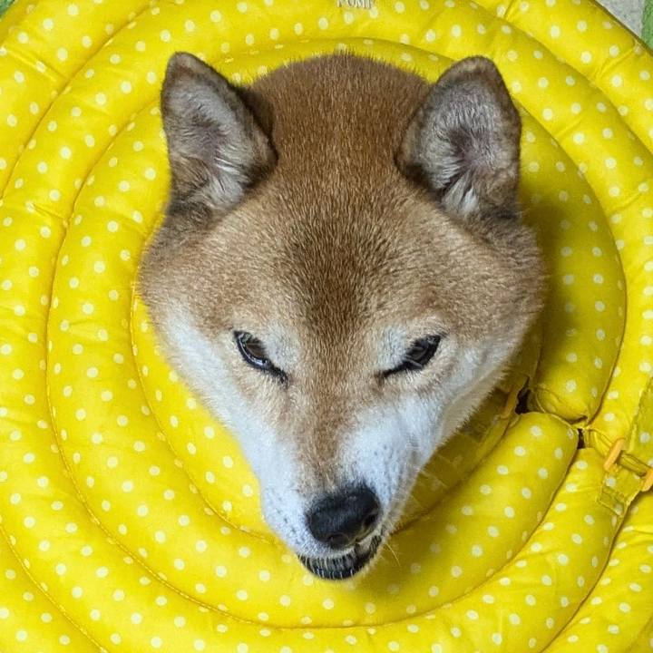 2376abc6 b8d4 4be5 8924 cf625fee2196 1728269486731