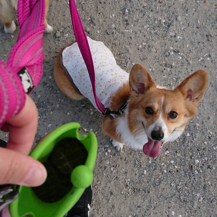 2376dfb4 3706 42a0 b06f 62fa4ce2938e 1522659606208