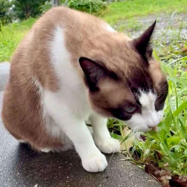 23770803 185d 4796 8a17 6e397eb8dd63 1754965823372