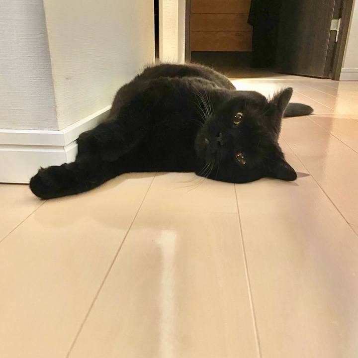 237719bc ee2d 4b95 97a4 407f12583f8a 1691325414690