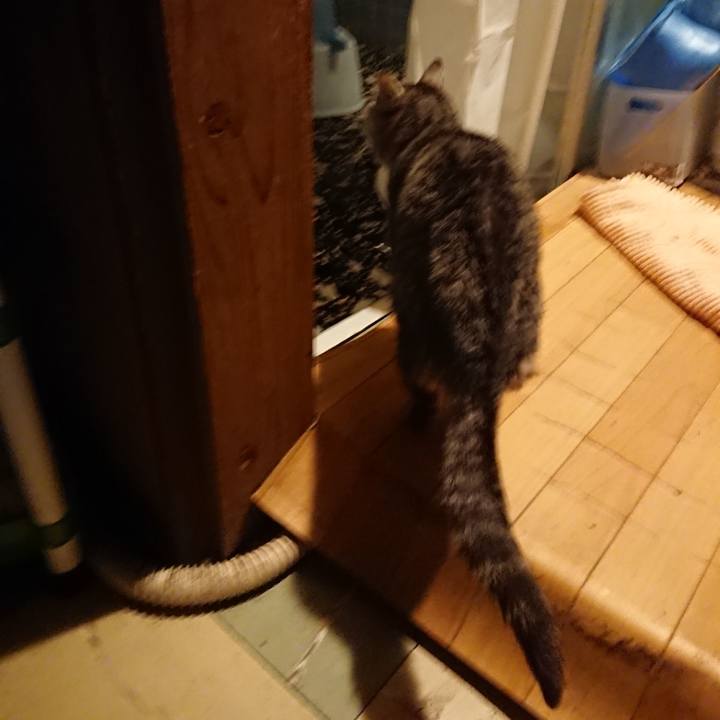 237727ae a2bc 4abe 8891 01d63c256a1b 1579857604534