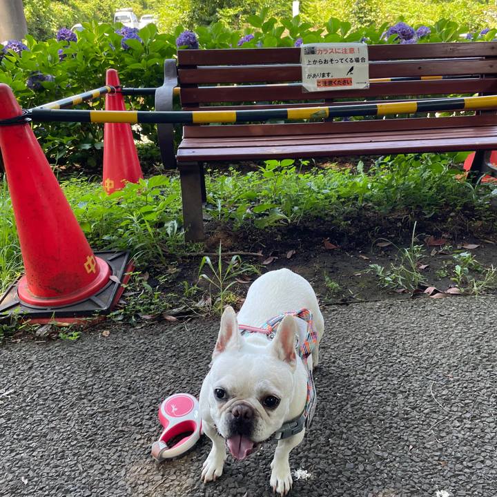 23772cf4 e8c7 4caa bb1d 3f8ff23b7cde 1751108053825