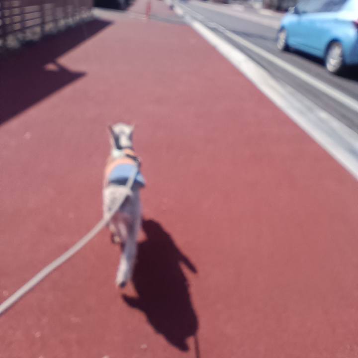 237760b2 9801 4ea6 977a 2a9bcedda980 1771419517602