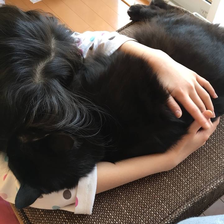 23776ade 310c 44e5 8e13 967ade911960 1522120887551