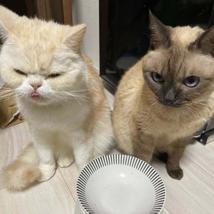 2377711d 1afc 49c2 8640 fde2c45fd2b3 1763552701398