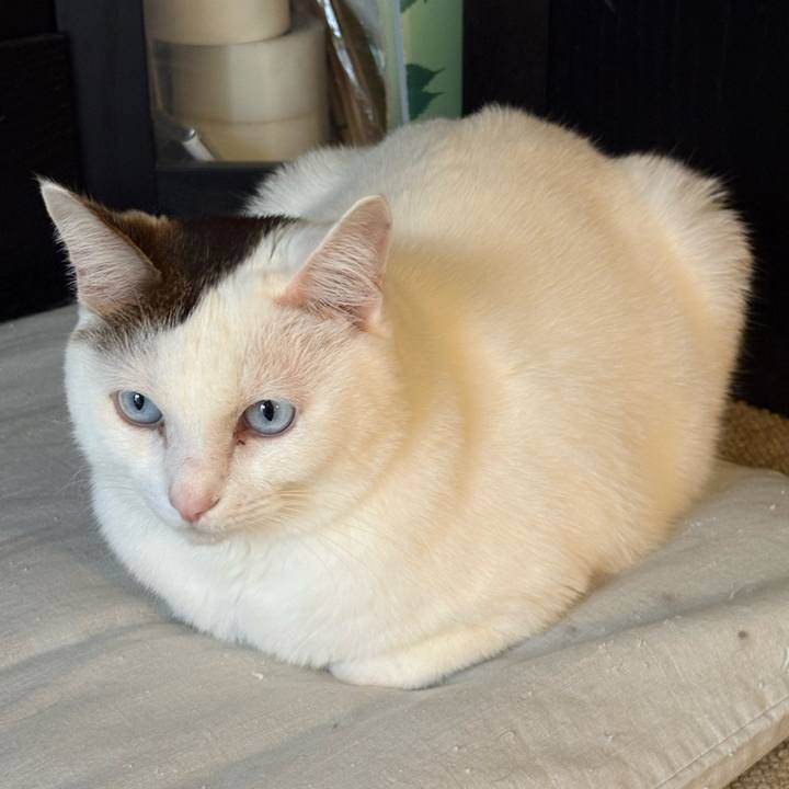 23777c6e 276c 419c ae20 33413ec42ff4 1766787481231