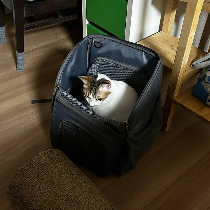 23779cee 880f 4706 9b5c da6e222a8b6c 1760738860277