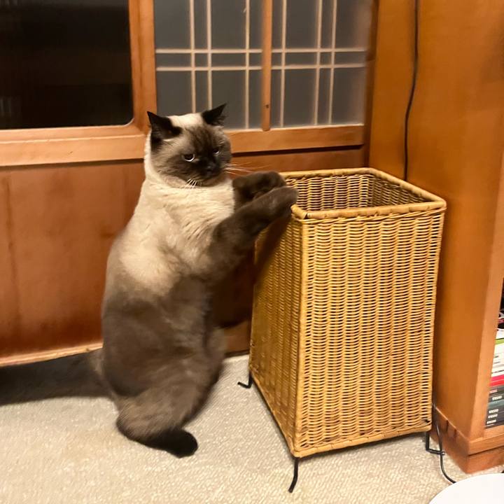 23779ff2 8e1b 4f3b 94cd 58614a63d81e 1665718573299