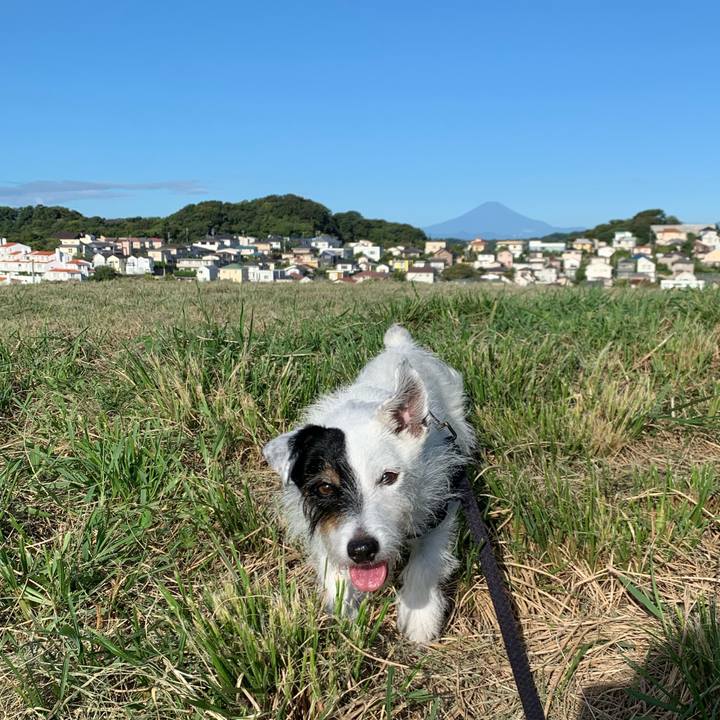 2377be3b ddb0 4677 903b 32bcefa3de48 1726268446170