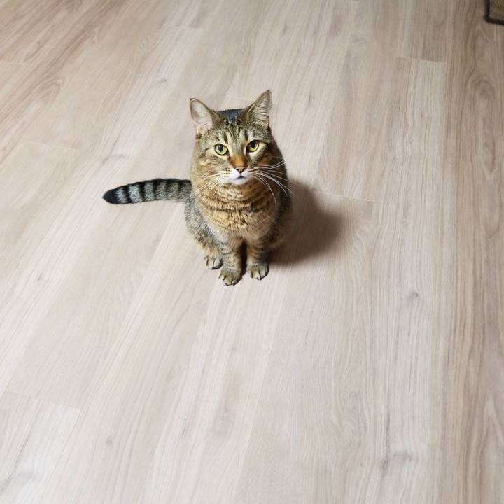 2377e65b c3a9 40b1 8cc0 26e1857dfe9d 1573681924592