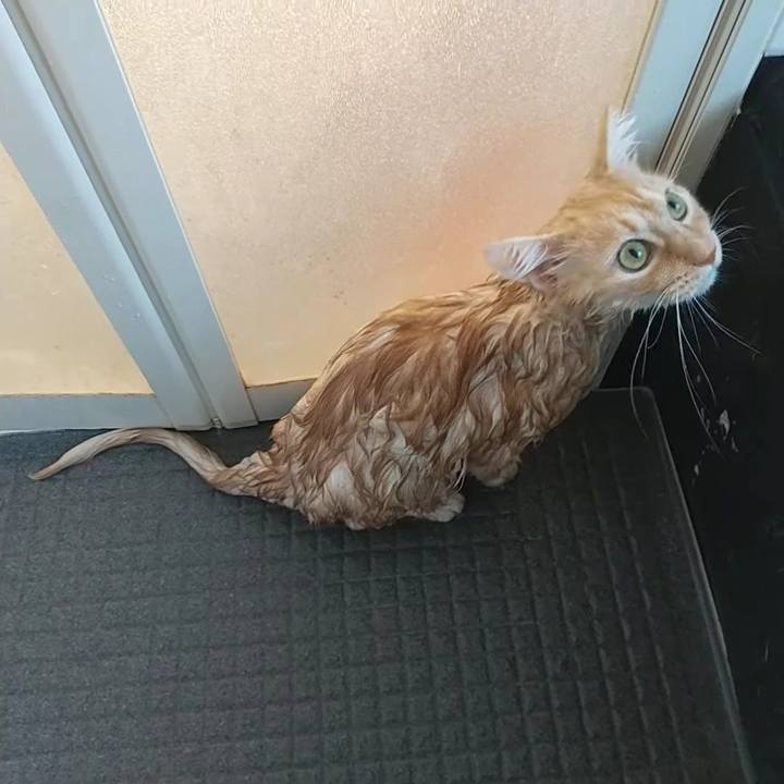 2377e750 ce3b 4e27 b3de a71361530aba 1702176432864