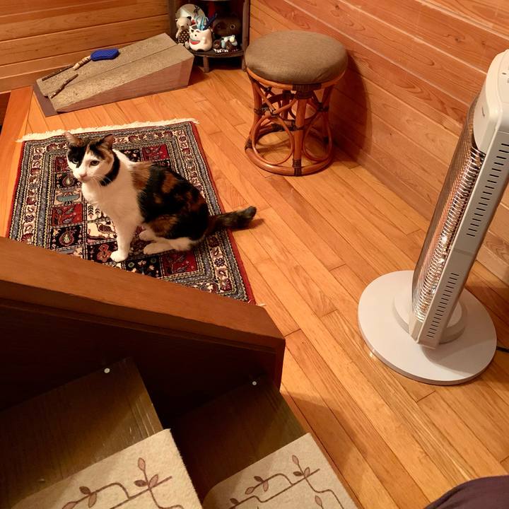 2377f123 fc5e 45f5 8bae 48e888508ac0 1608284843353