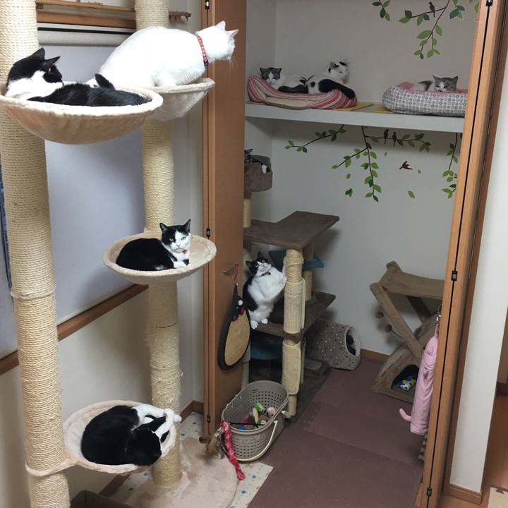 23781a37 09b7 43b8 b8c1 609d6262271c 1508054398304