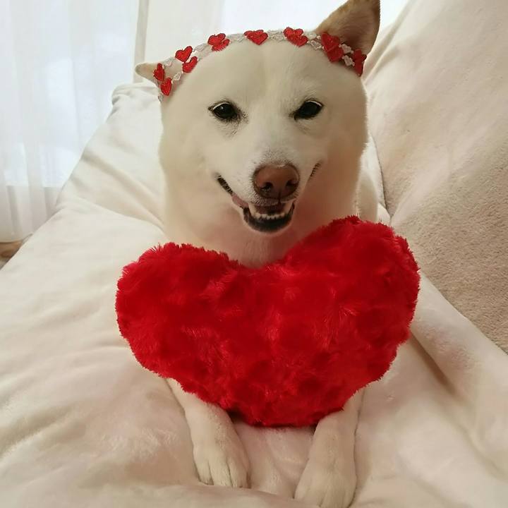 2378296b bb7d 4ab5 ab3c b23cdc61d789 1518569153169