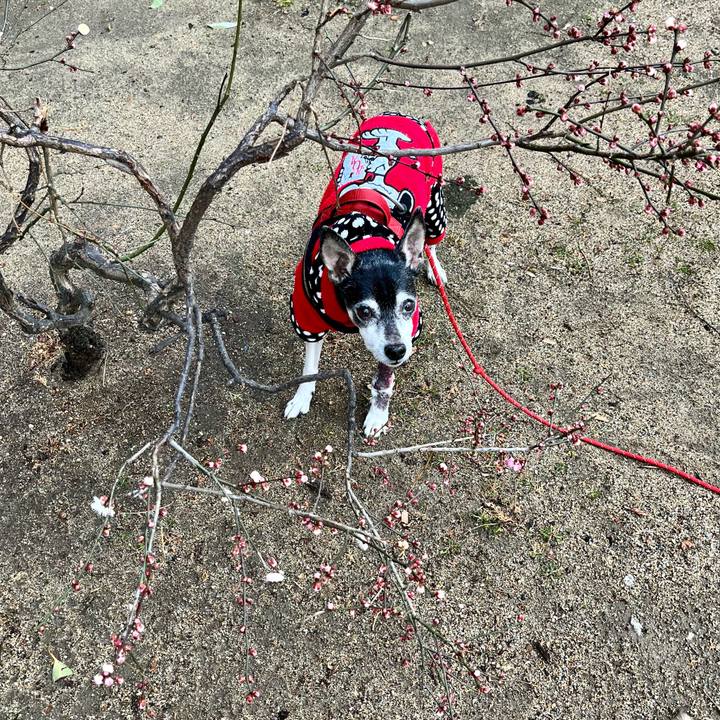 23785420 16e8 4e5b 95b4 6093d0c7be16 1645317111513