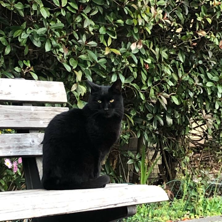 23785669 94e0 4b0f a72f a8d90fbcb474 1643871831015