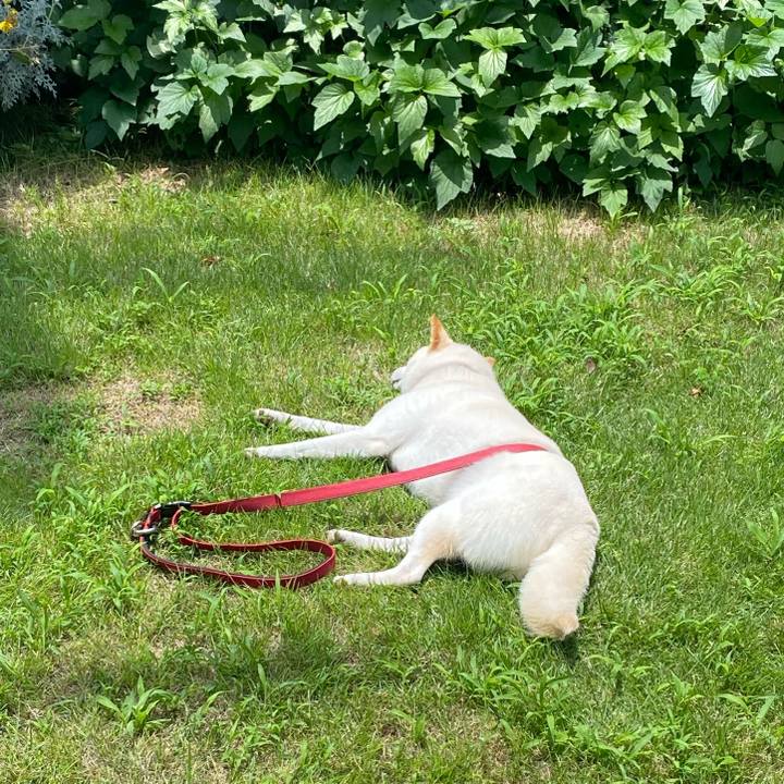 23789612 a768 479b ba4c fc1dd12b05a6 1625888757785