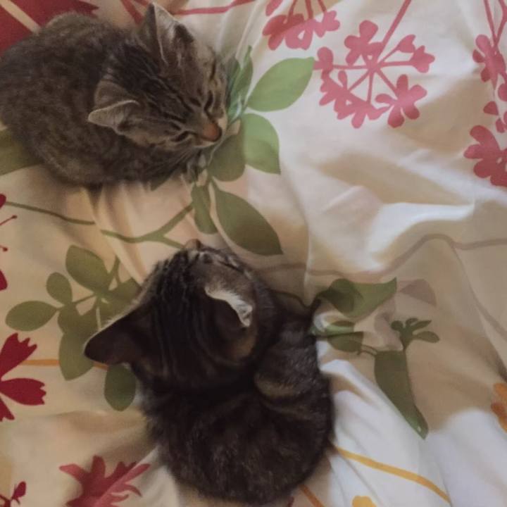 23789f0d a215 4e62 a7e2 eae02f306508 1615206556072