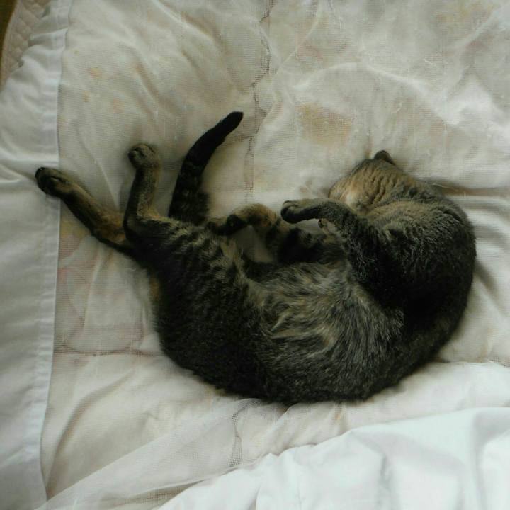 2378fd16 9b6b 4f37 839e 6b86ae83570c 1562312884375