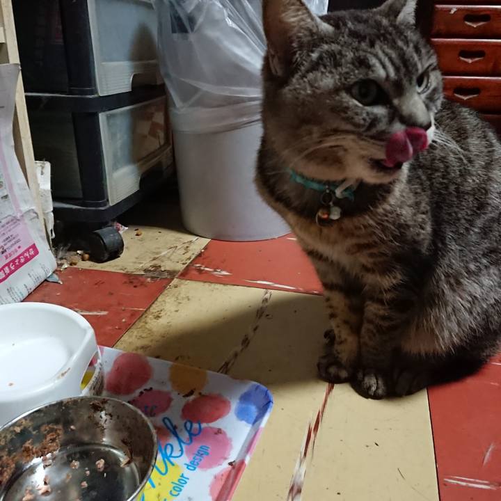 237904bb 734d 45d7 8945 f30665598ea7 1553851957696