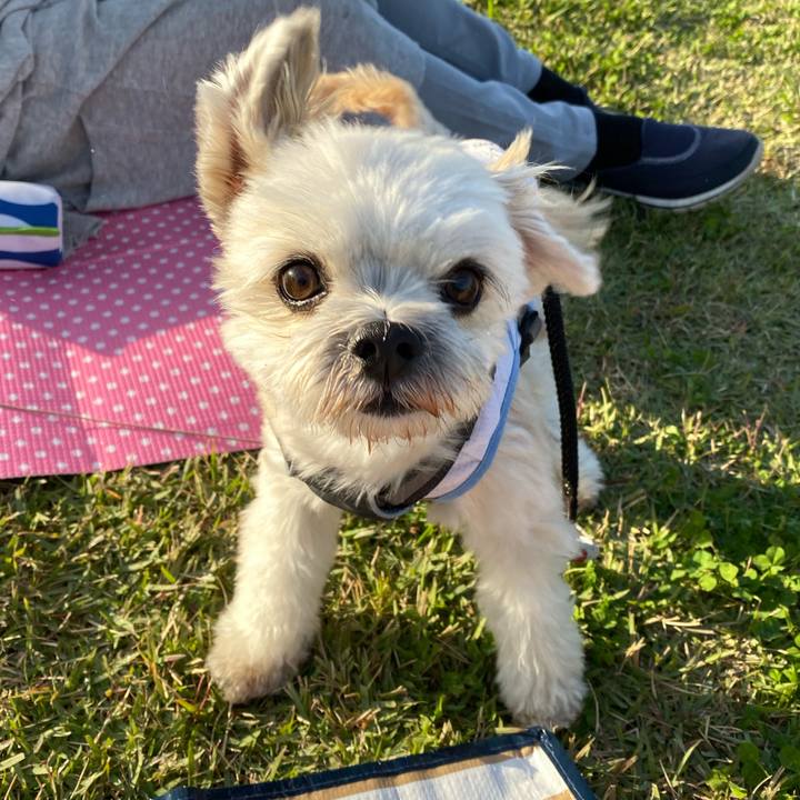 23792b7f 8122 4fb0 be1c 3280382a8e15 1572677495264