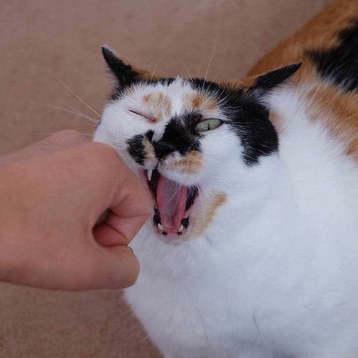 237989dc 2bab 427e 84ce 4db6801a5bd6 1553662906336