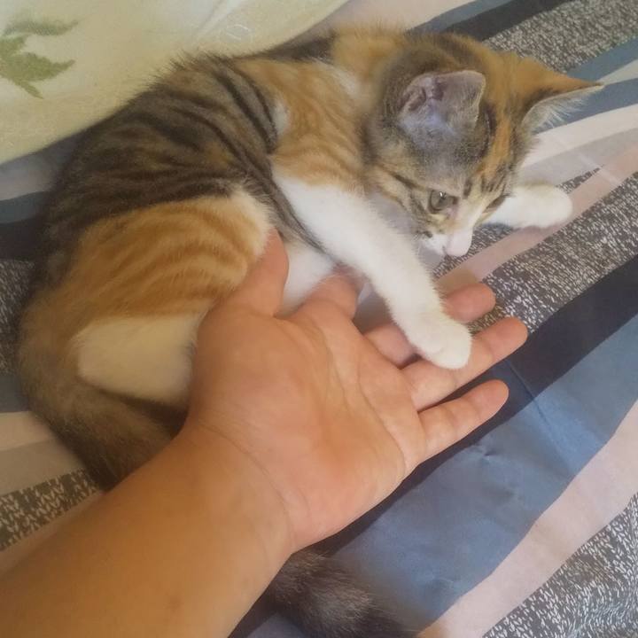 2379ab82 09c9 4708 b50f 0f64cf97ab22 1722576194906