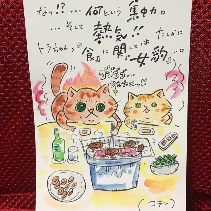 237a00d0 65fc 4354 b12a 99cfbb1b820c 1540387460961