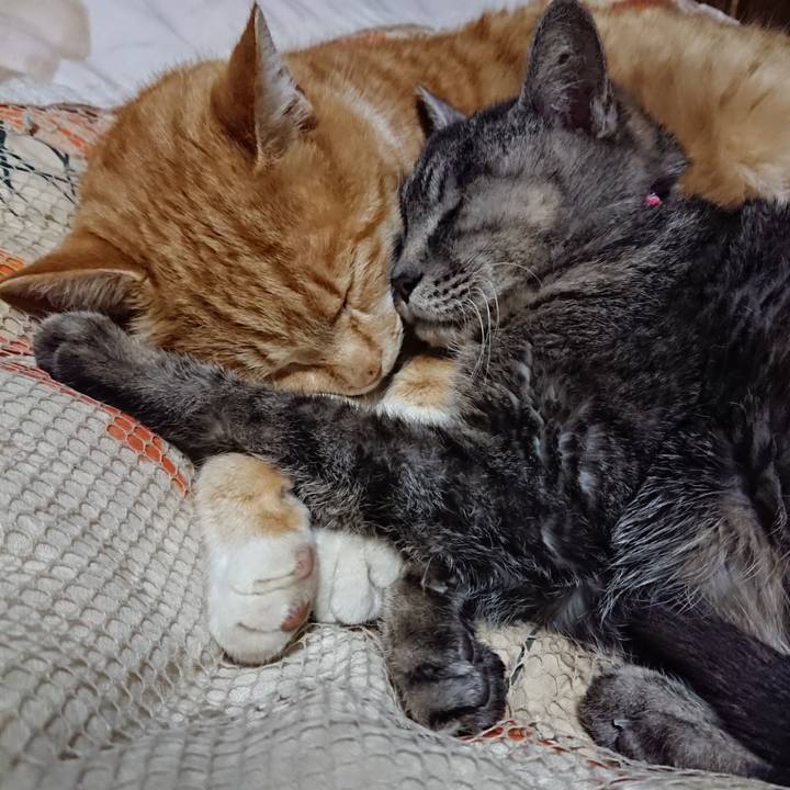 237a276a 5685 4552 a061 130ee6188aa6 1578147643699