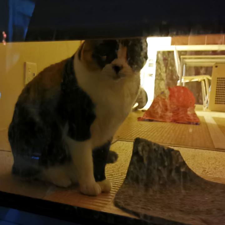 237a624a a5b1 4706 acc5 075ad50fb5ad 1675921142247