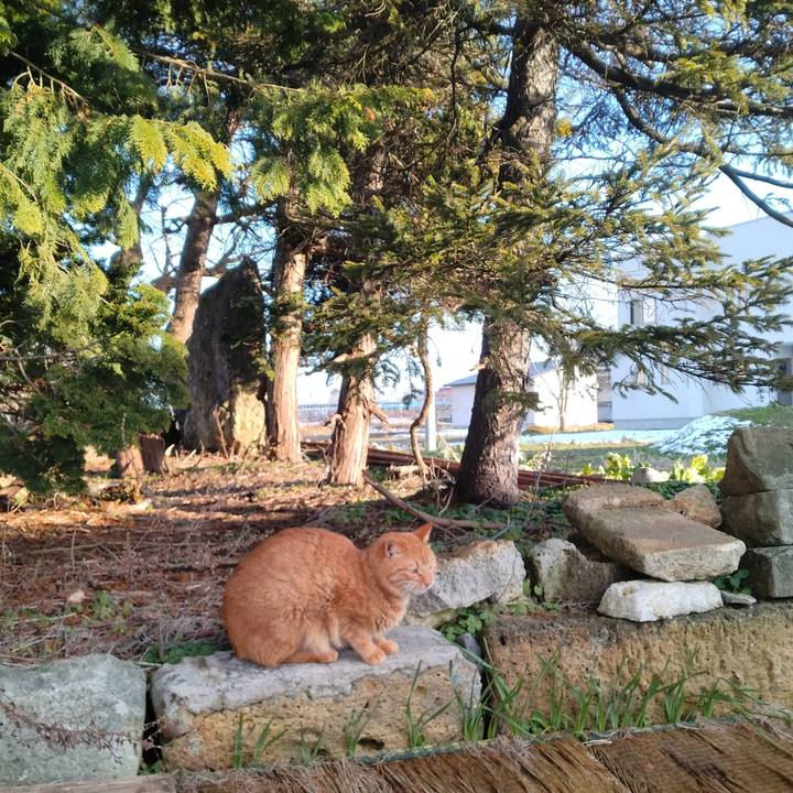 237a6df8 d220 4c52 85c6 ed352f2c04d6 1705214415988