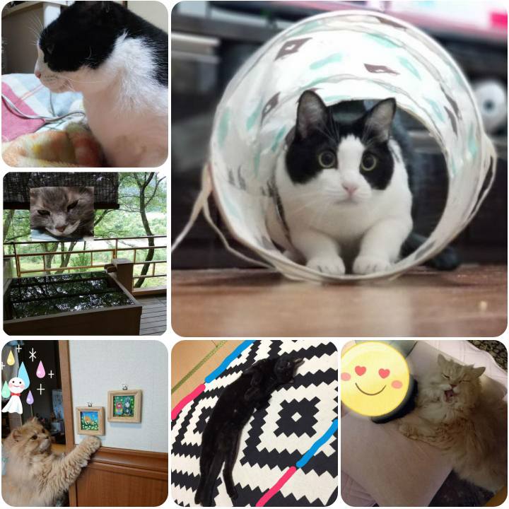 237a725d 2d4c 4a65 b36c 15125e42f560 1562323341577