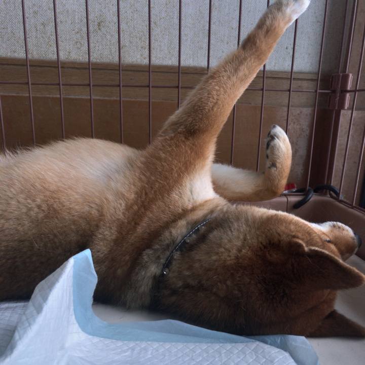 237ab925 60ca 4e37 b58a b50c705713c9 1518580781802