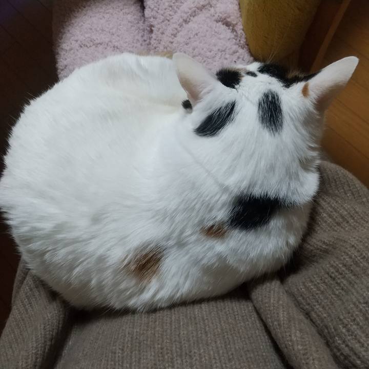 237adeb6 4e1c 4bc1 896d 106f3dbe68be 1706352730446