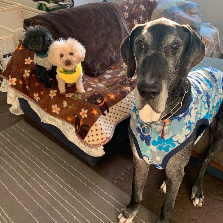 237aeeb2 f8e6 4f96 9e23 8ba4fee004dd 1610491312484