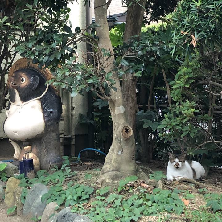 237b0745 7de5 4dbd 9d4e 56600f15df81 1565553593195